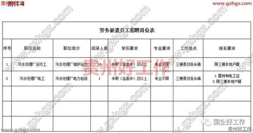 贵州云上生态环境科技有限责任公司2021年招聘17名劳务派遣员工 报名时间 1月25日至27日